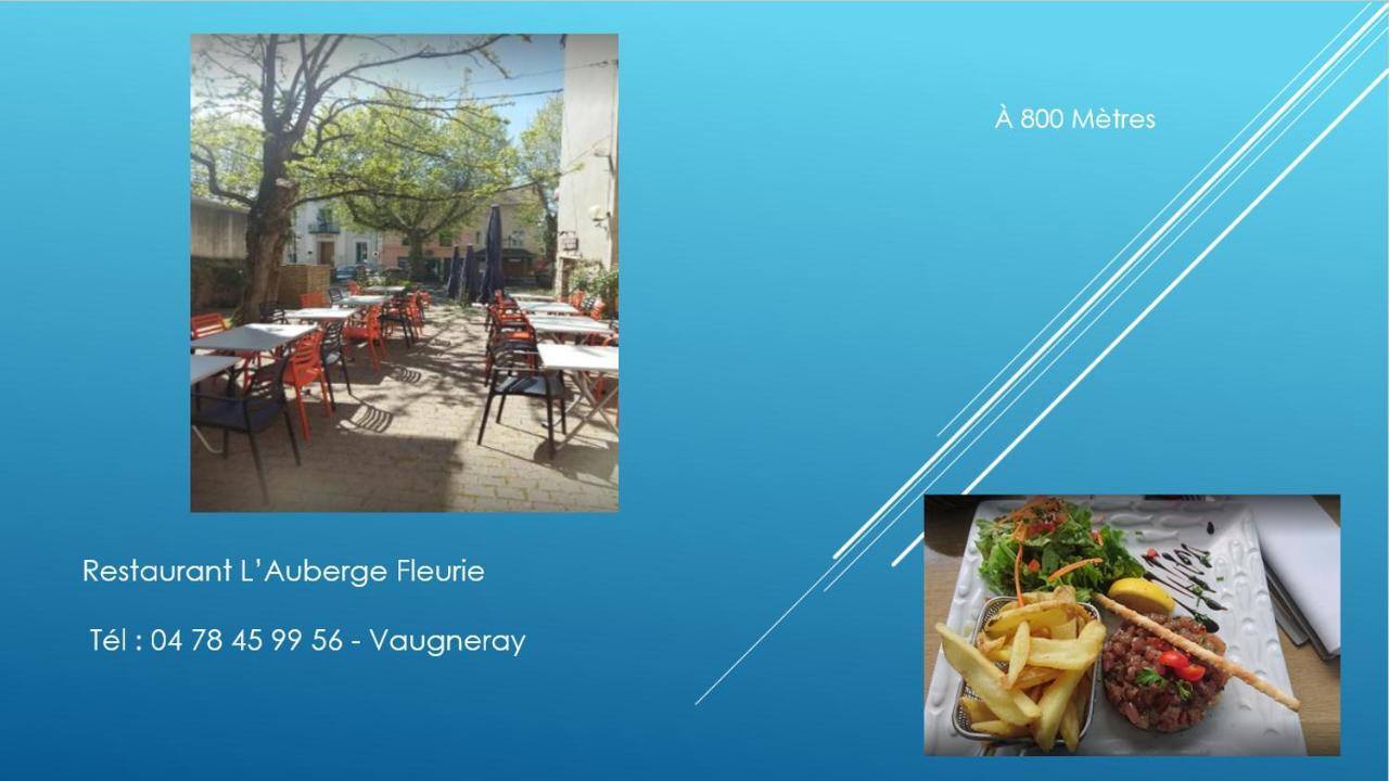Bel Appartement T2 40 M² Vaugneray ภายนอก รูปภาพ