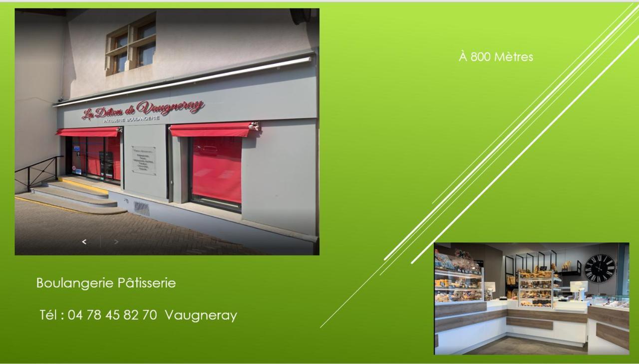 Bel Appartement T2 40 M² Vaugneray ภายนอก รูปภาพ