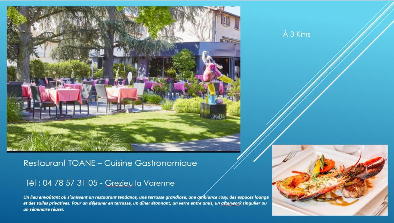 Bel Appartement T2 40 M² Vaugneray ภายนอก รูปภาพ